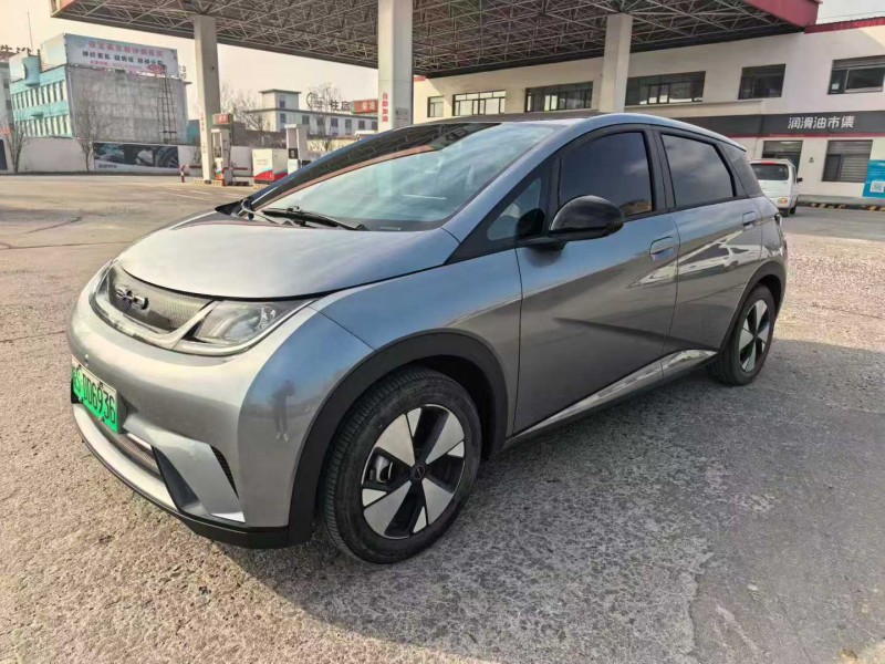 保定24年比亚迪海豚2