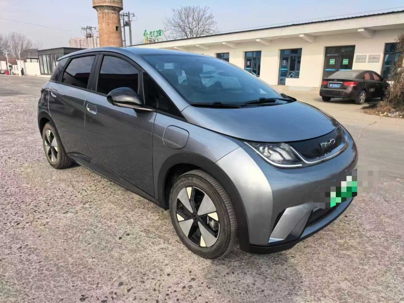 保定24年比亚迪海豚3