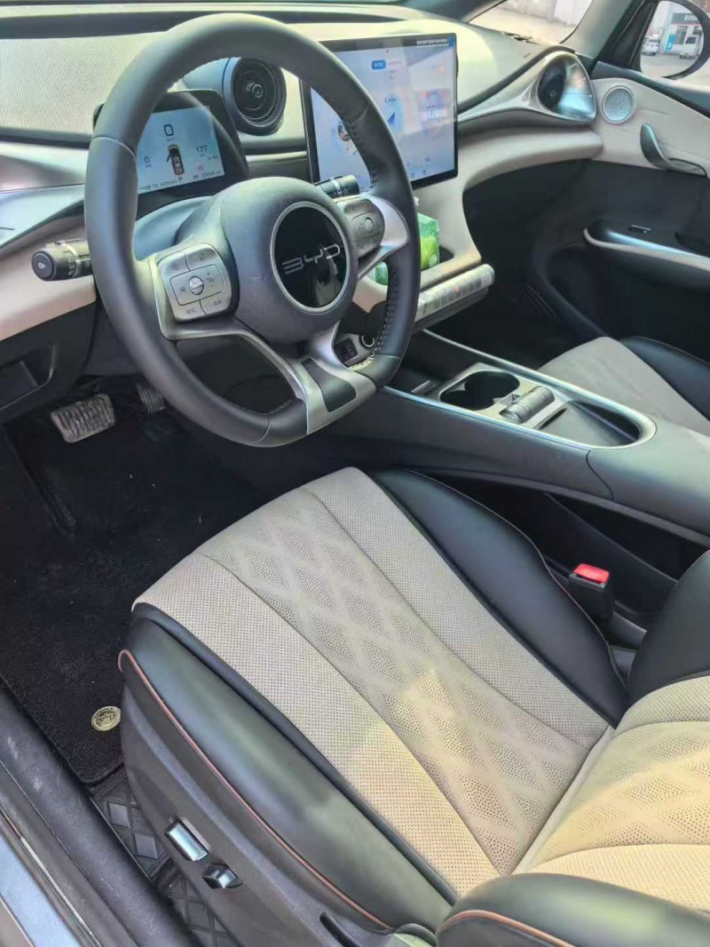 保定24年比亚迪海豚6
