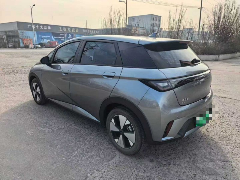 保定24年比亚迪海豚7