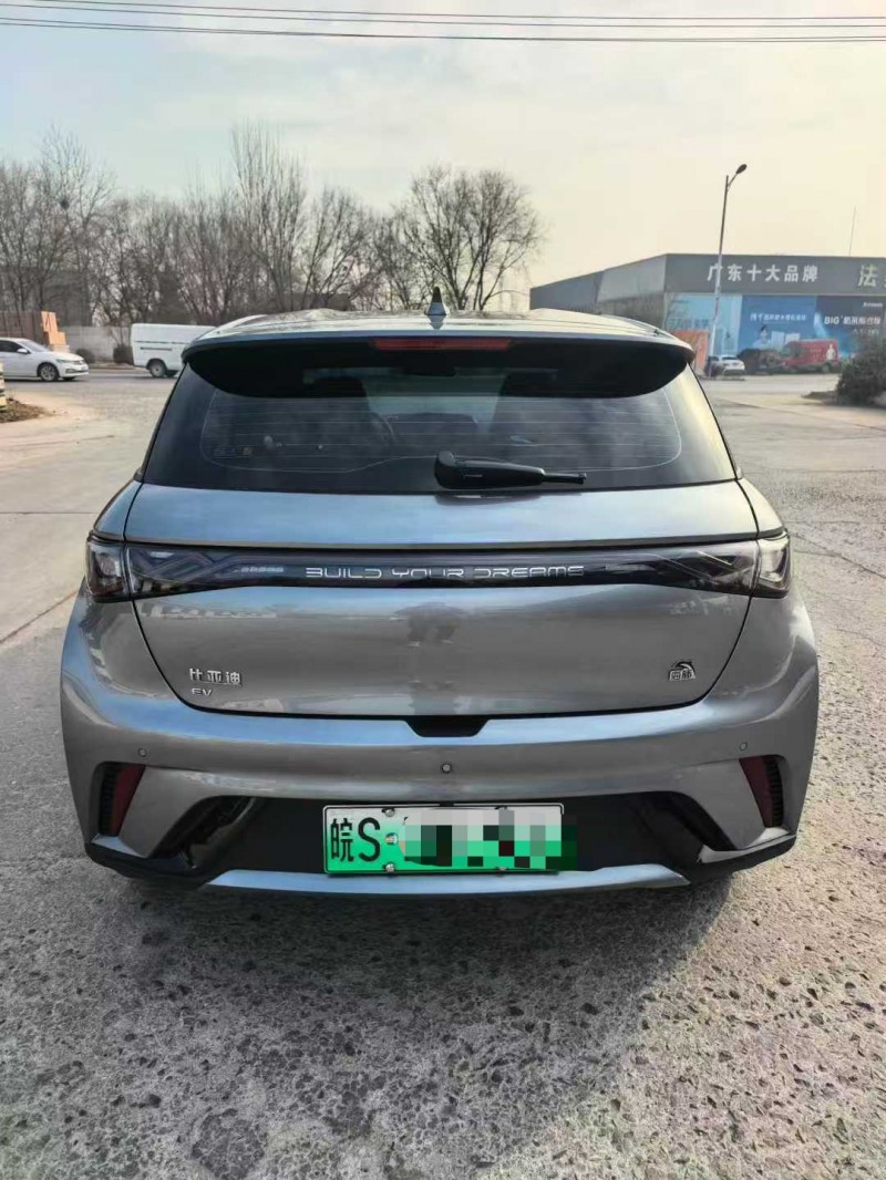保定24年比亚迪海豚9