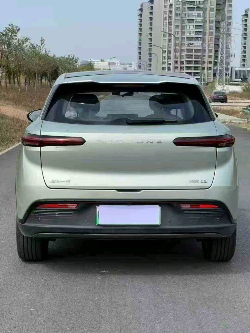 湛江25年奔腾悦意8