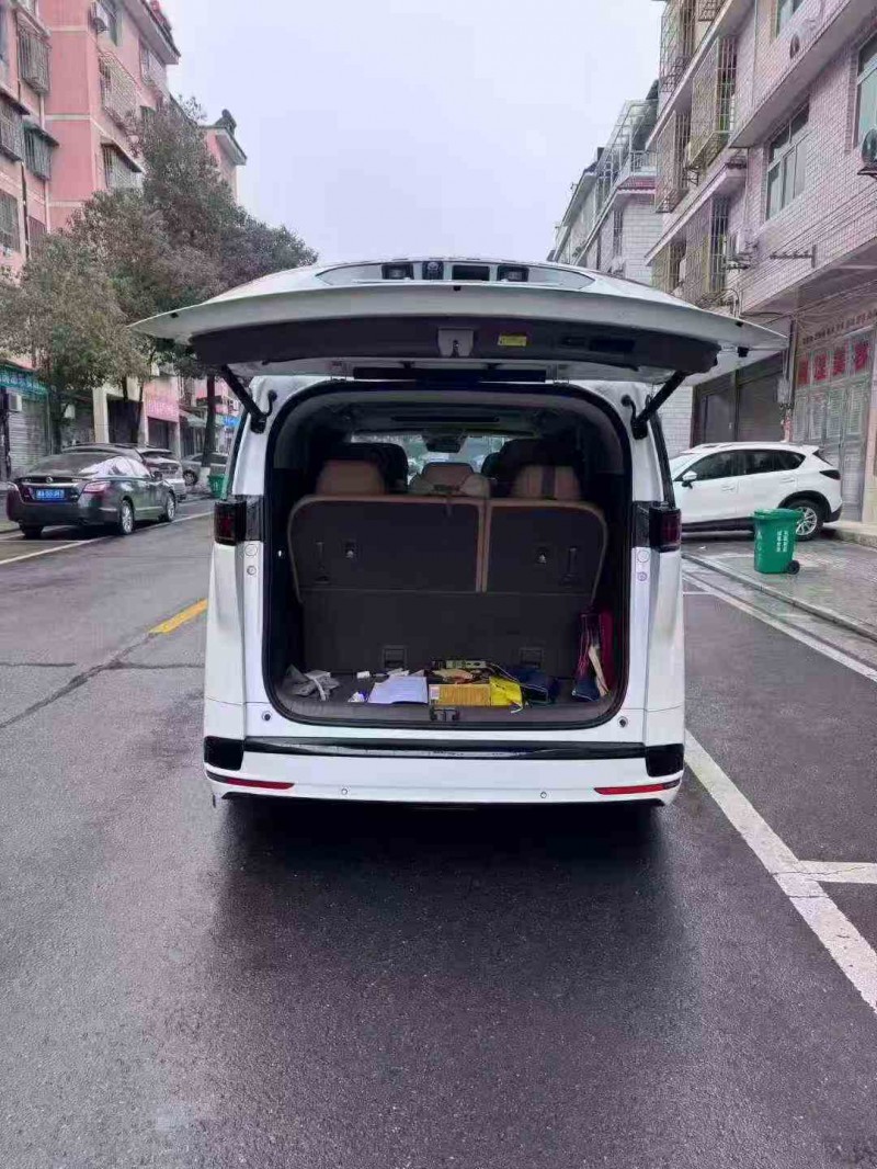 常德23年腾势D99