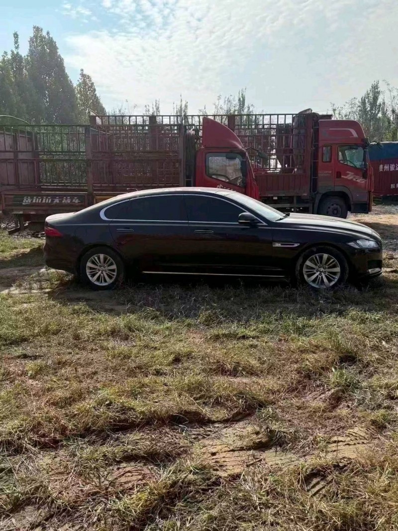 菏泽17年捷豹XFL3