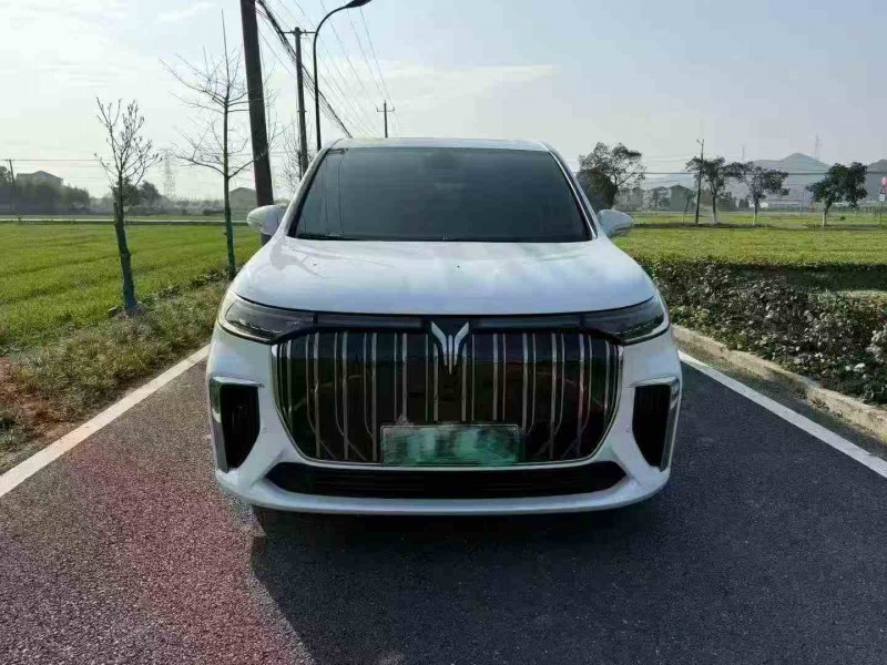 湖州24年岚图汽车梦想家1