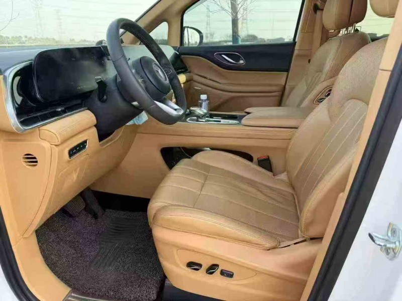 湖州24年岚图汽车梦想家6