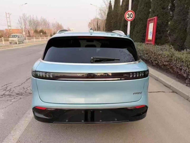 枣庄22年岚图汽车梦想家8