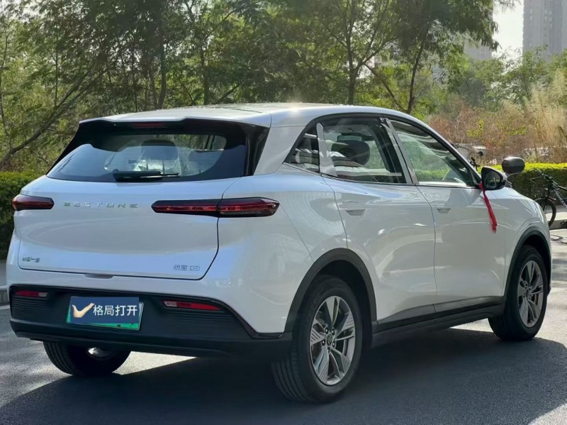 东莞25年奔腾悦意8