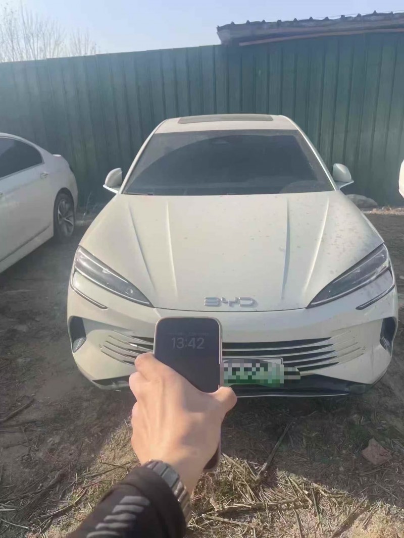 菏泽24年比亚迪海狮1