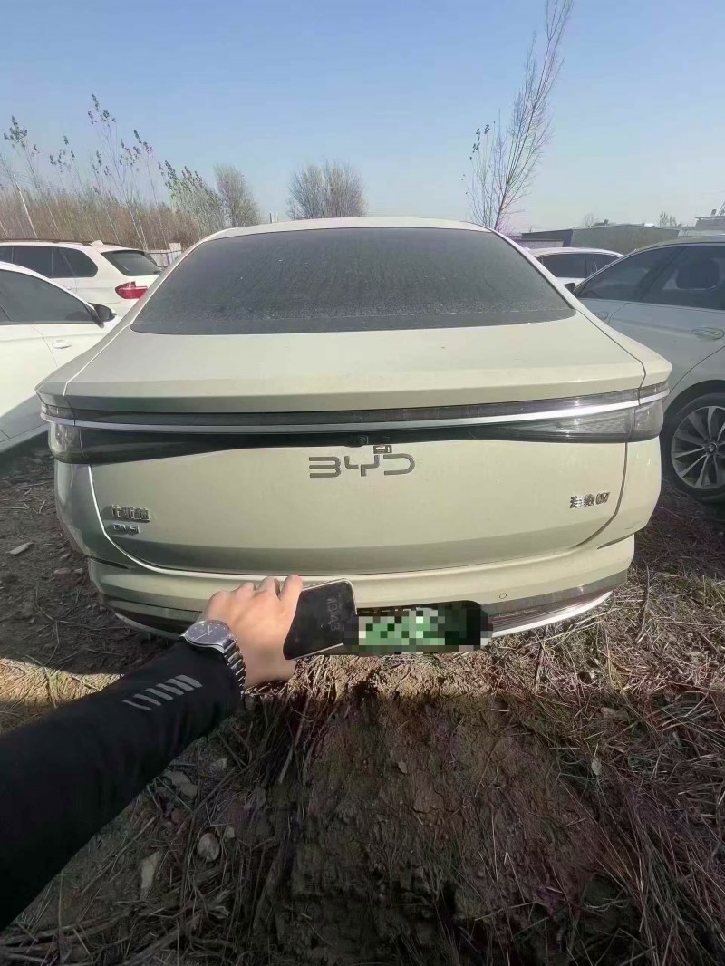 菏泽24年比亚迪海狮2