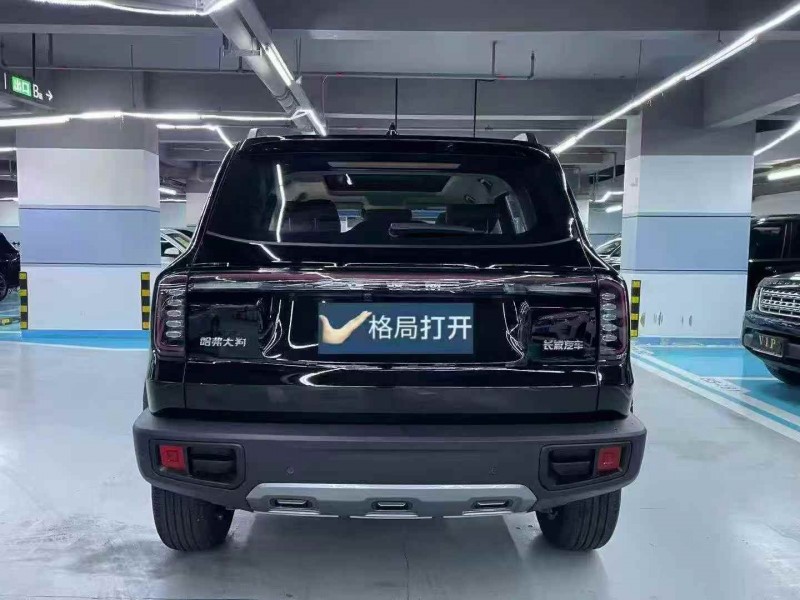 广州26年哈弗大狗9