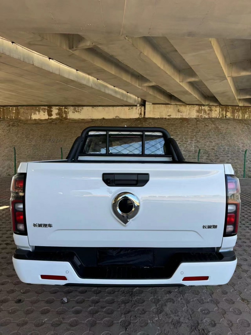 松原24年长城汽车炮 皮卡9