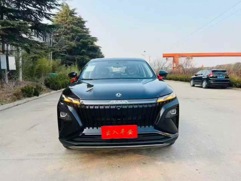 枣庄25年东风风神1