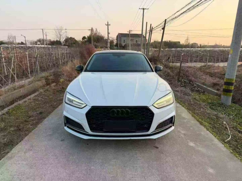 湖州18年奥迪A51