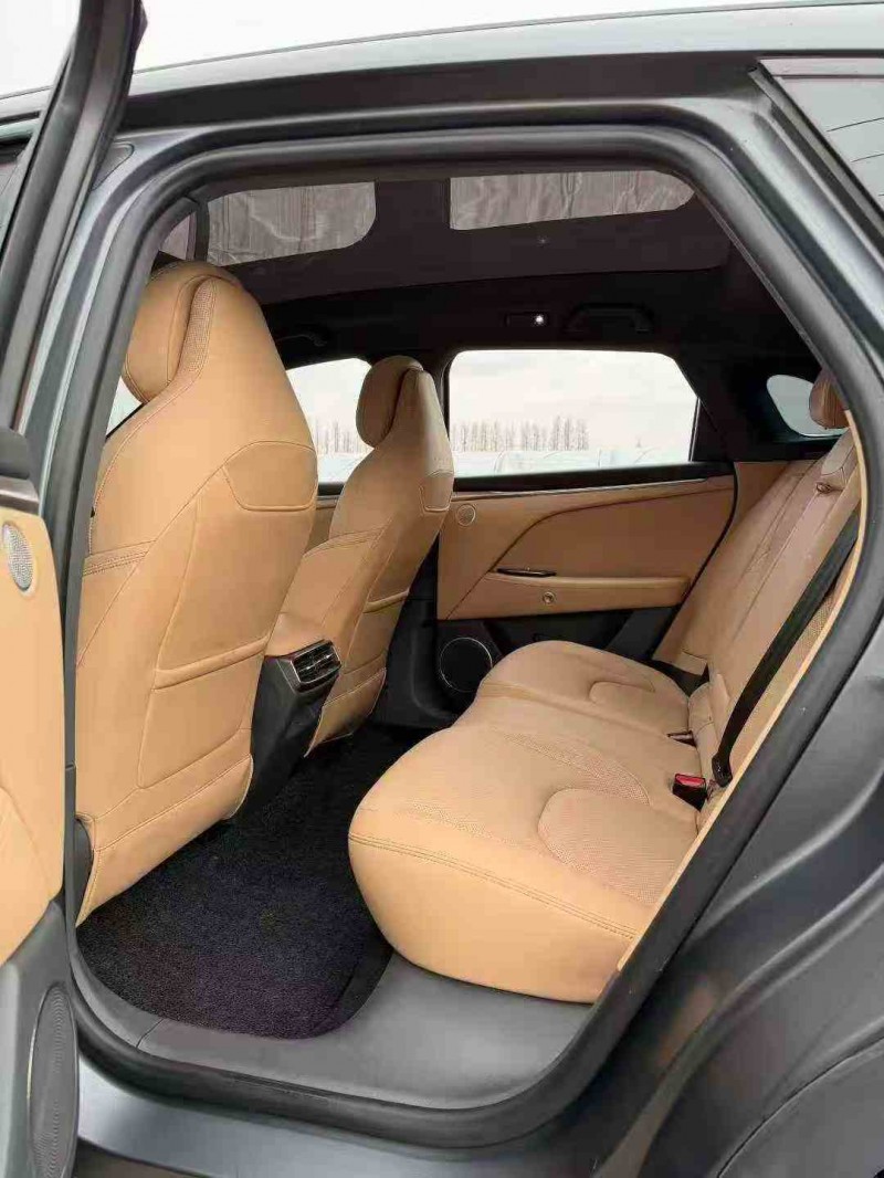 衢州25年极狐汽车阿尔法4