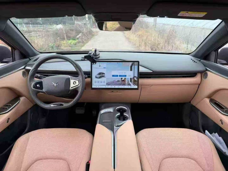 衢州25年极狐汽车阿尔法6