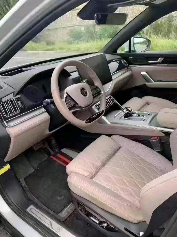 张家口24年比亚迪唐4