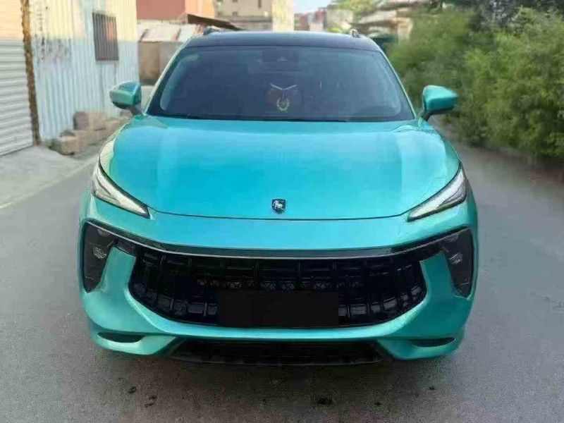 廈門21年東風風行1