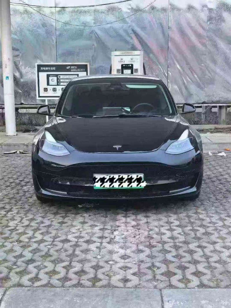 遂宁21年特斯拉MODEL 31