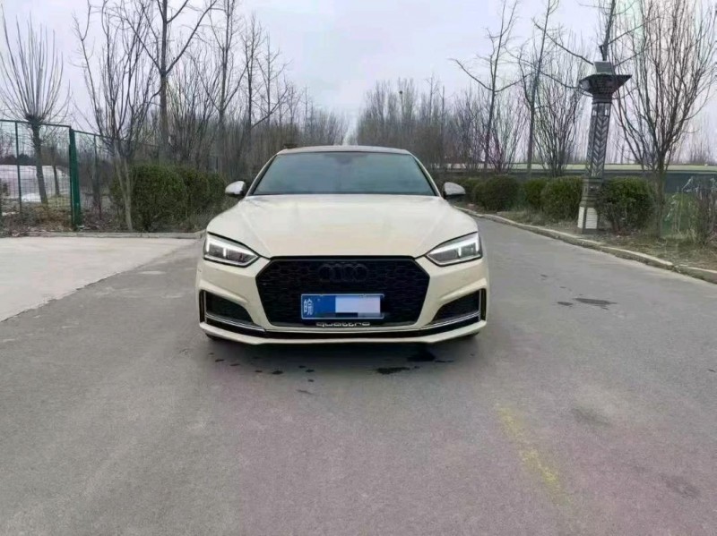 青岛19年奥迪S51