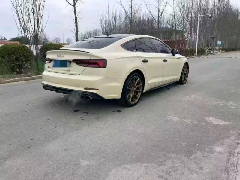 青岛19年奥迪S54