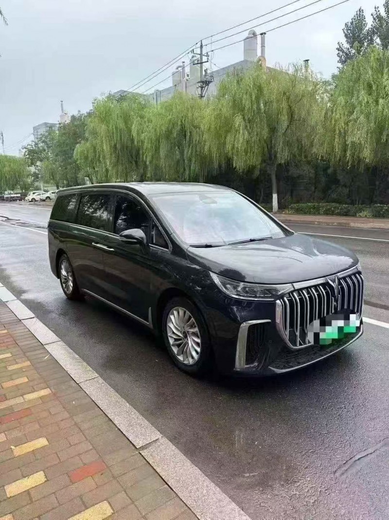 青岛24年岚图汽车梦想家3