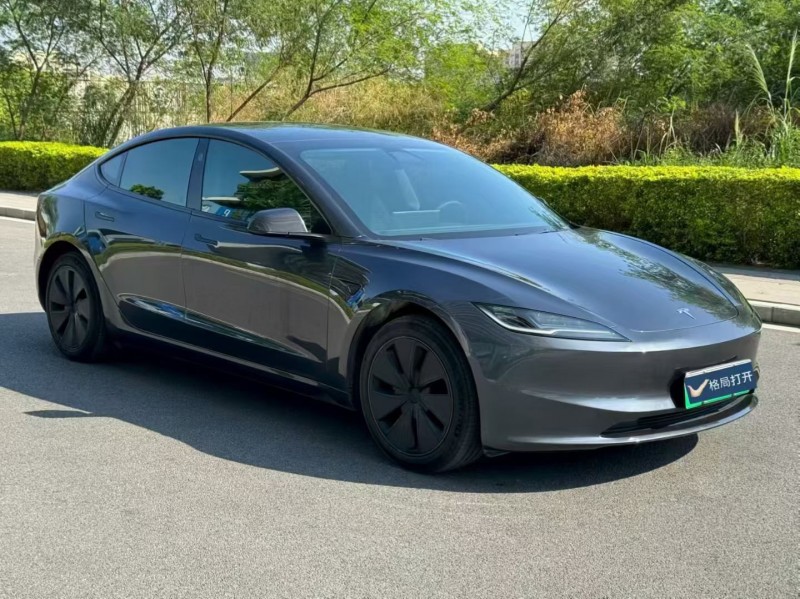 东莞25年特斯拉MODEL 32