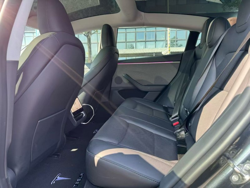 东莞25年特斯拉MODEL 35