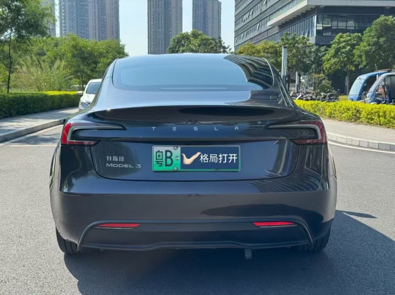 东莞25年特斯拉MODEL 39