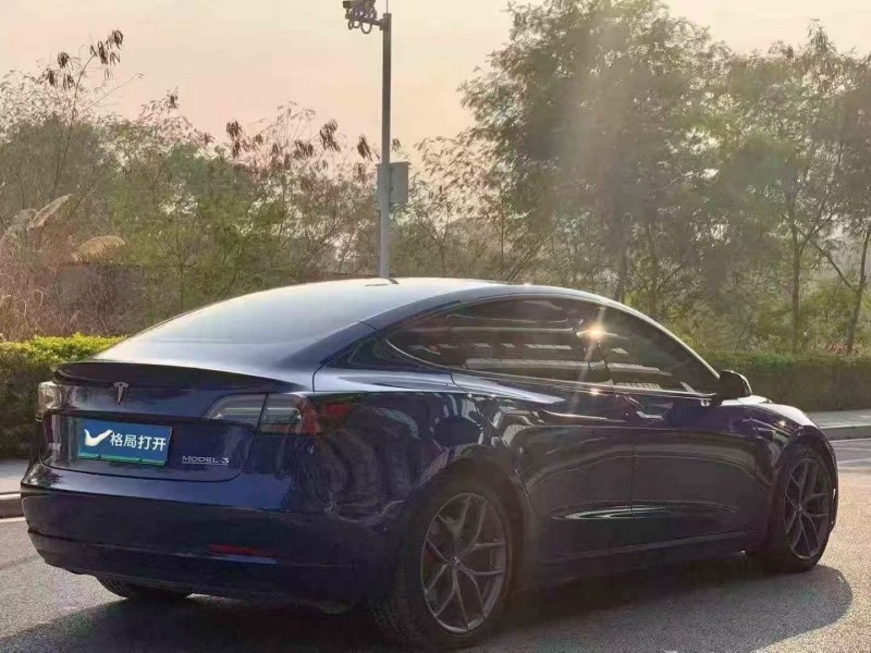 东莞22年特斯拉MODEL 37