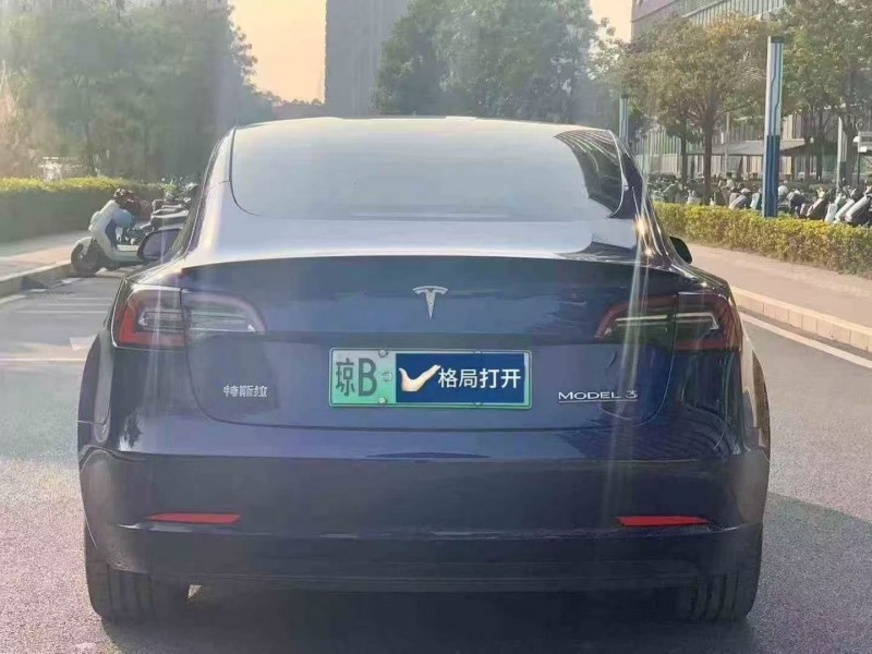 东莞22年特斯拉MODEL 39