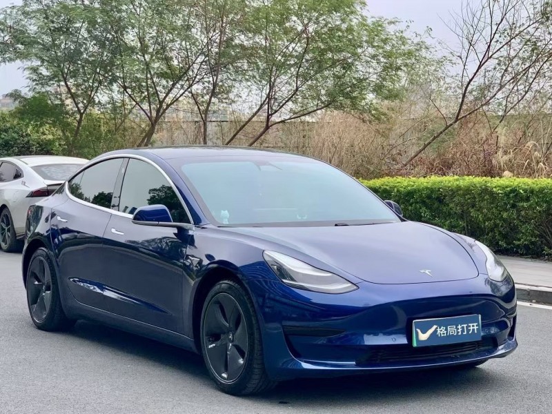 东莞20年特斯拉MODEL 32