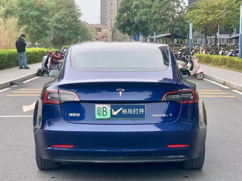 东莞20年特斯拉MODEL 39