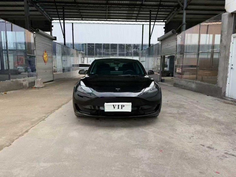 徐州23年特斯拉MODEL 31
