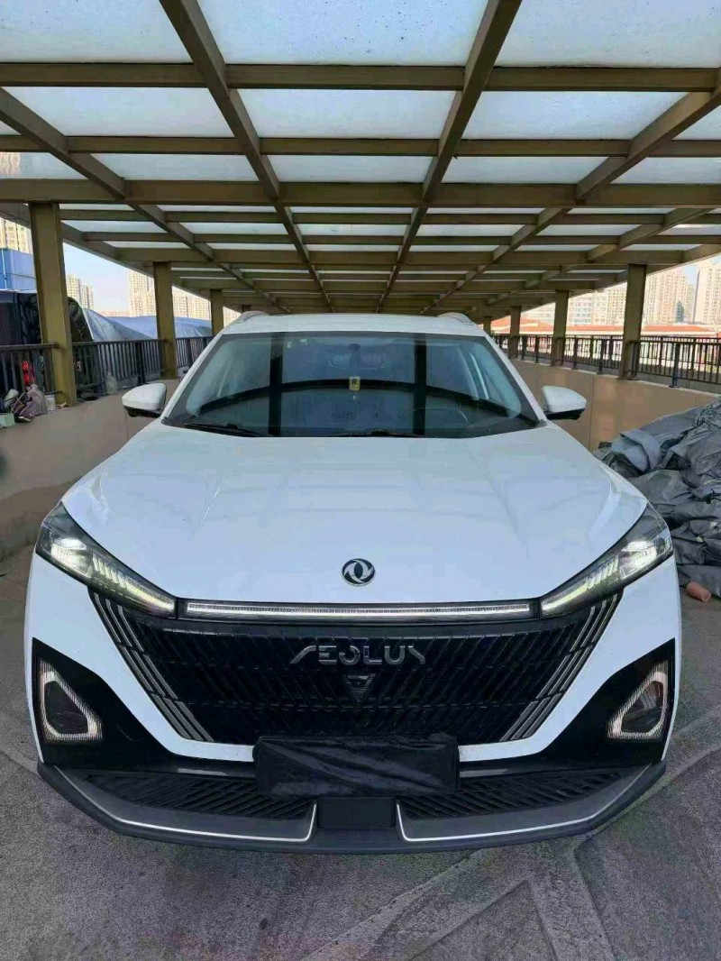 蘇州23年東風風神1