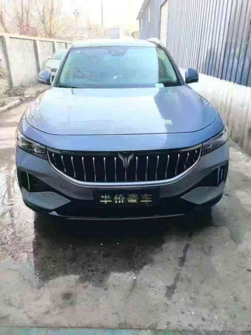 汉中22年岚图汽车FREE1