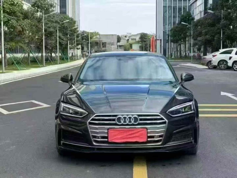 广州19年奥迪A51