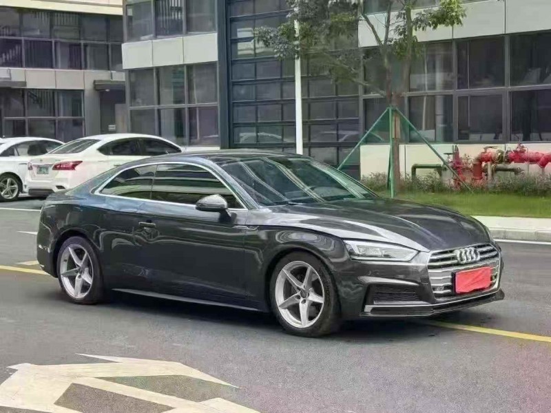 广州19年奥迪A52