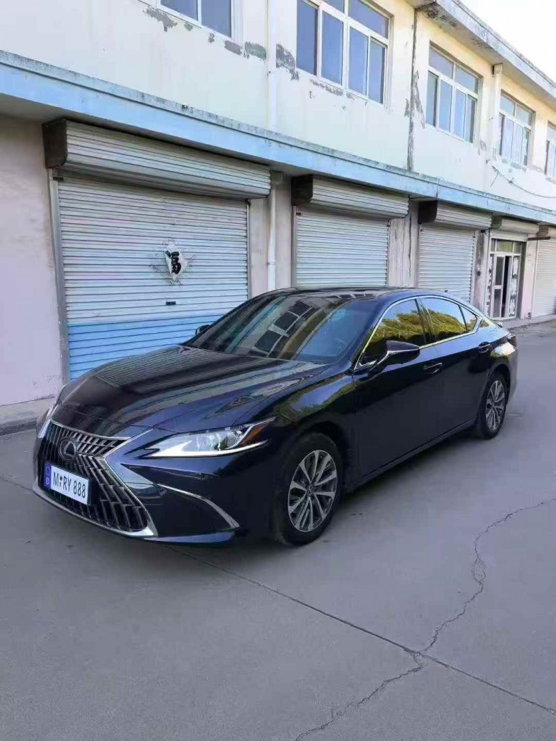 潍坊22年雷克萨斯ES2