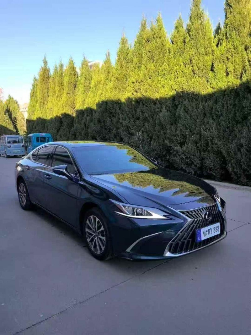 潍坊22年雷克萨斯ES3