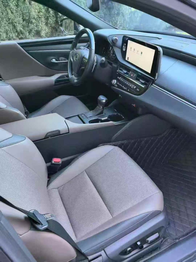 潍坊22年雷克萨斯ES6