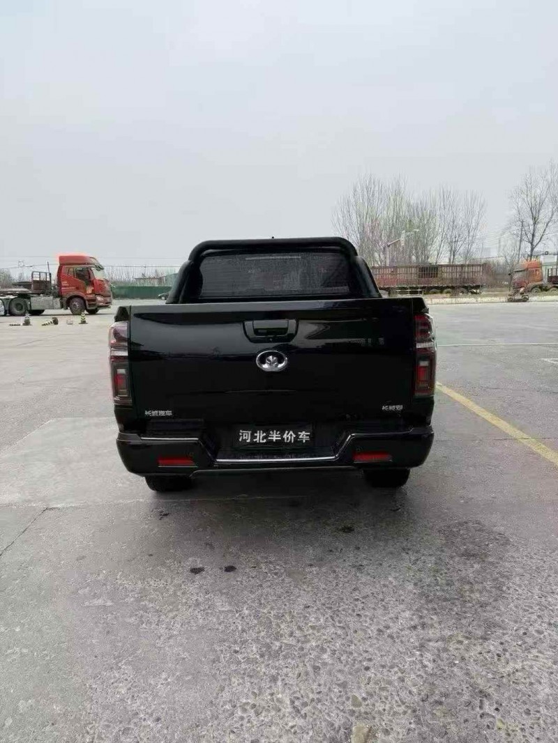 張家口21年長城汽車炮 皮卡9