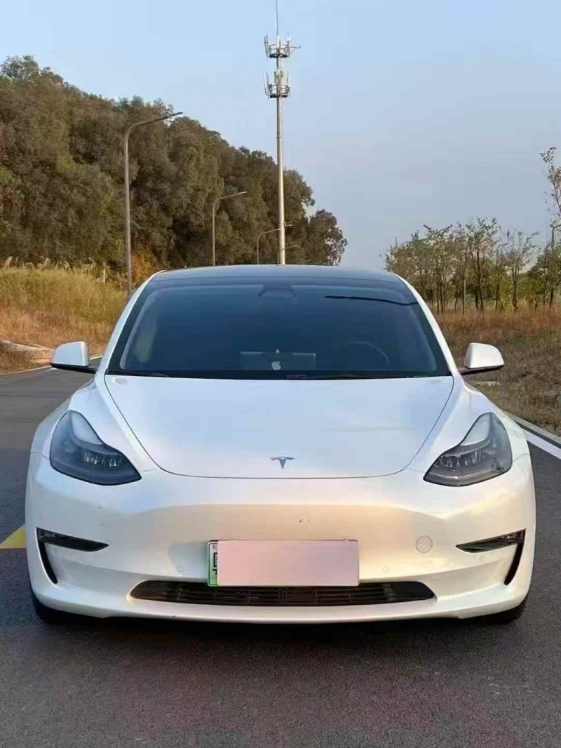 江门22年特斯拉MODEL 31