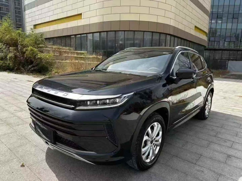 烟台20年奇瑞星途2