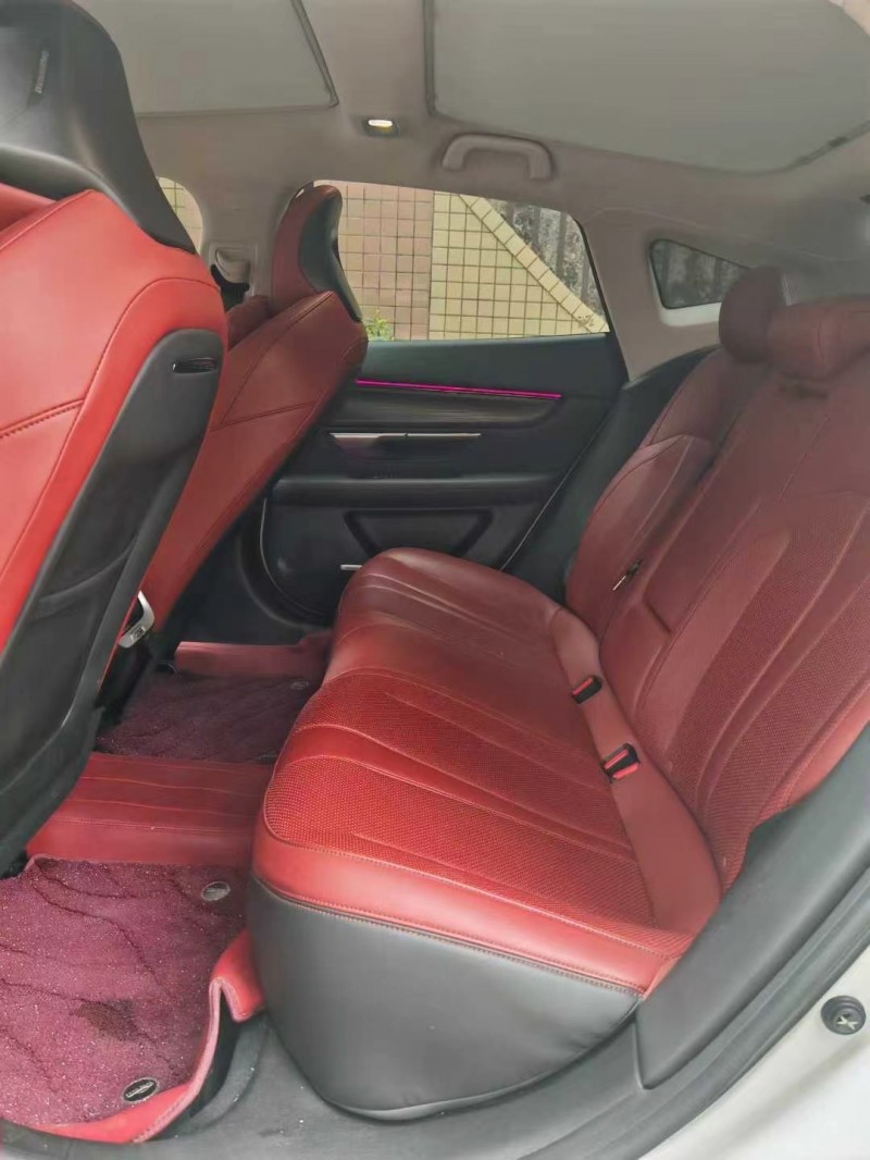 东莞21年小鹏汽车p74