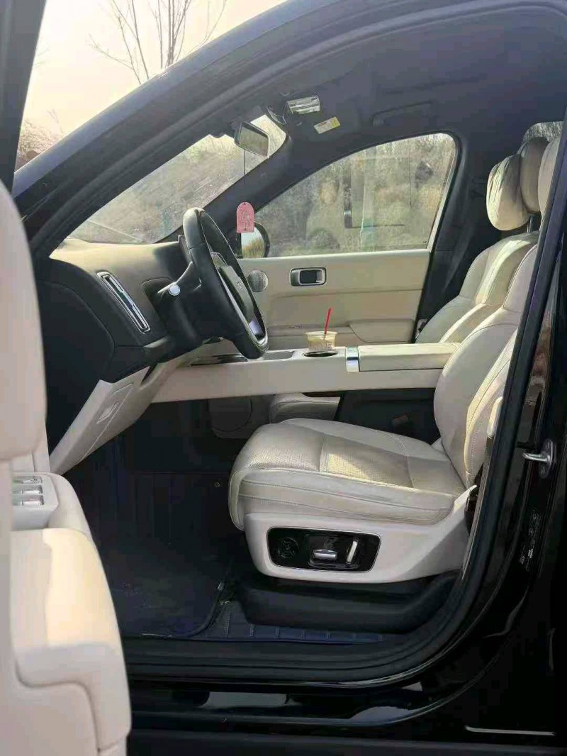 石家庄24年理想L99