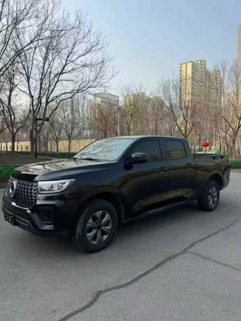 东营25年长城汽车炮 皮卡2