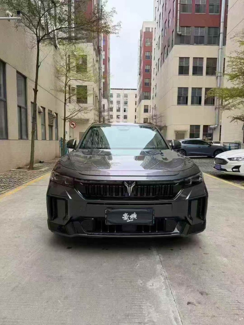 珠海25年岚图汽车FREE1