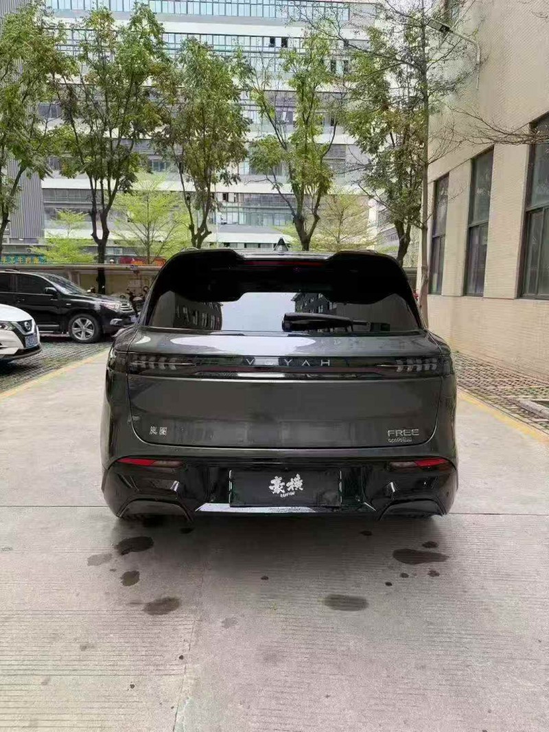 珠海25年岚图汽车FREE9