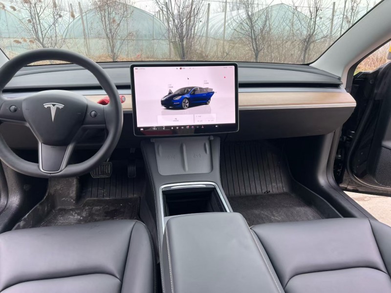 徐州23年特斯拉MODEL 38